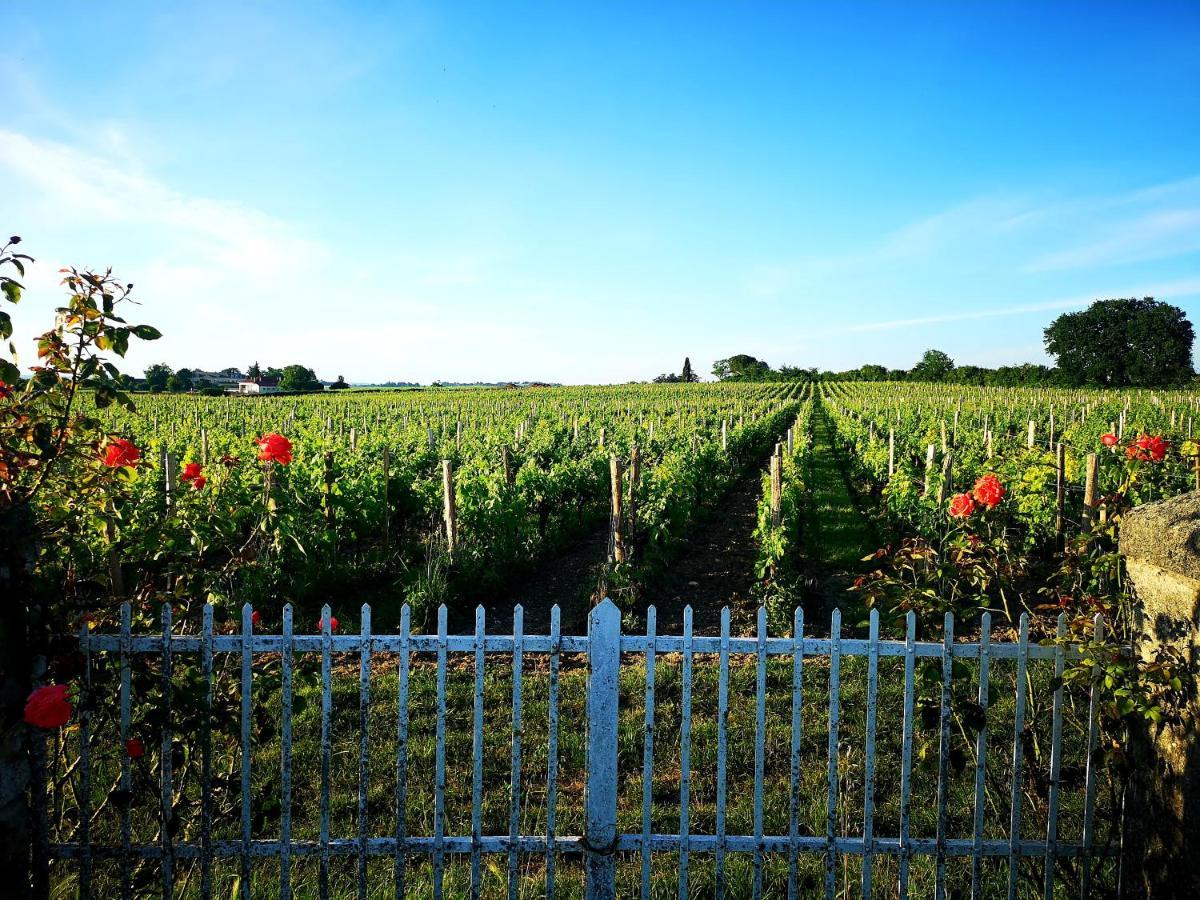 La Maison Des Vignes Saint Emilion Lägenhet Exteriör bild